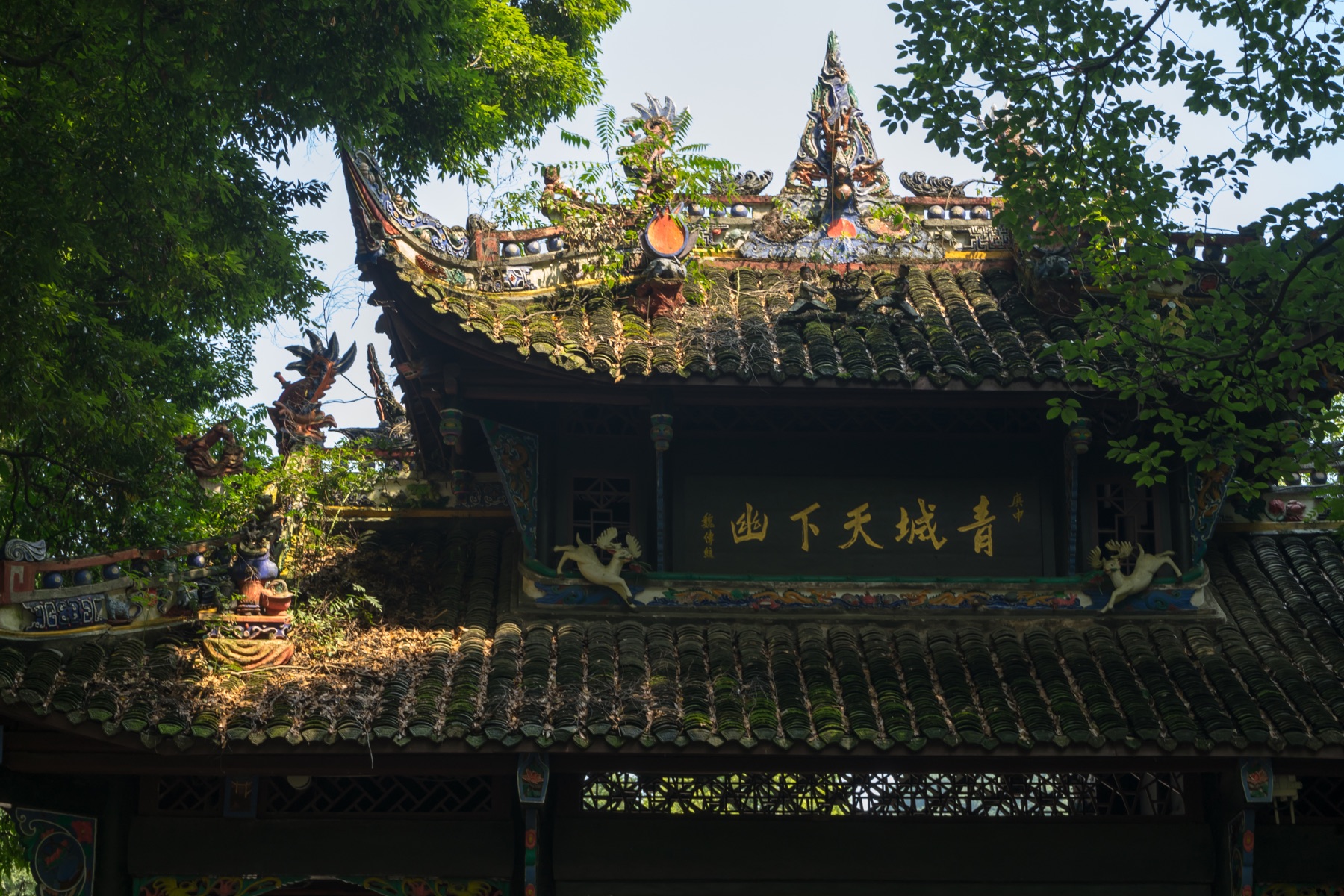 Mount Qingcheng near Chengdu